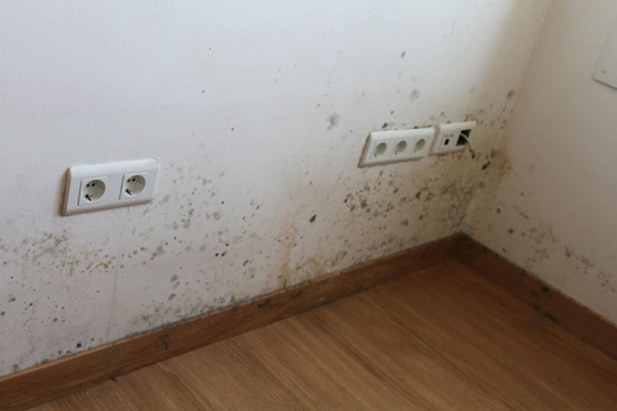 Humedad por condensación